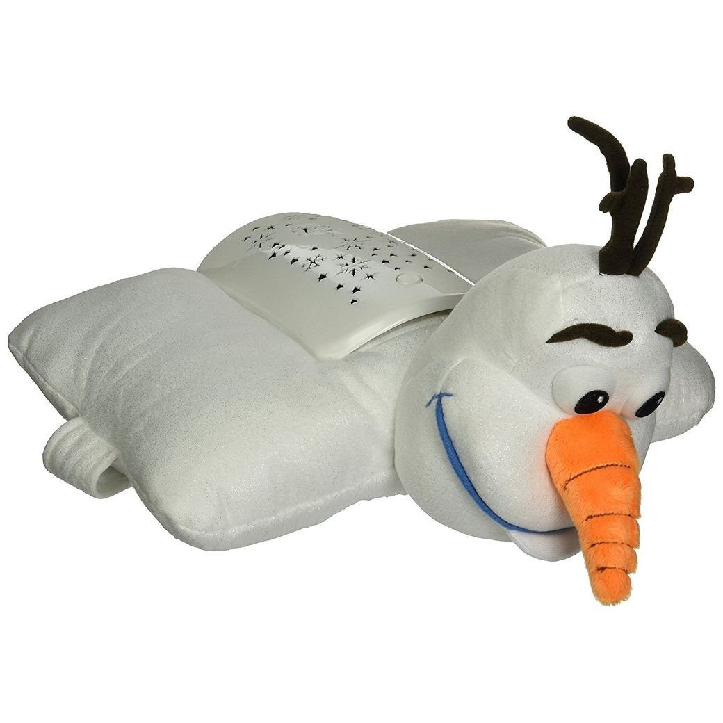 frozen pillow pet