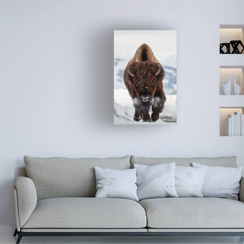 Peter Hudson 'Bison Incoming' Canvas Art