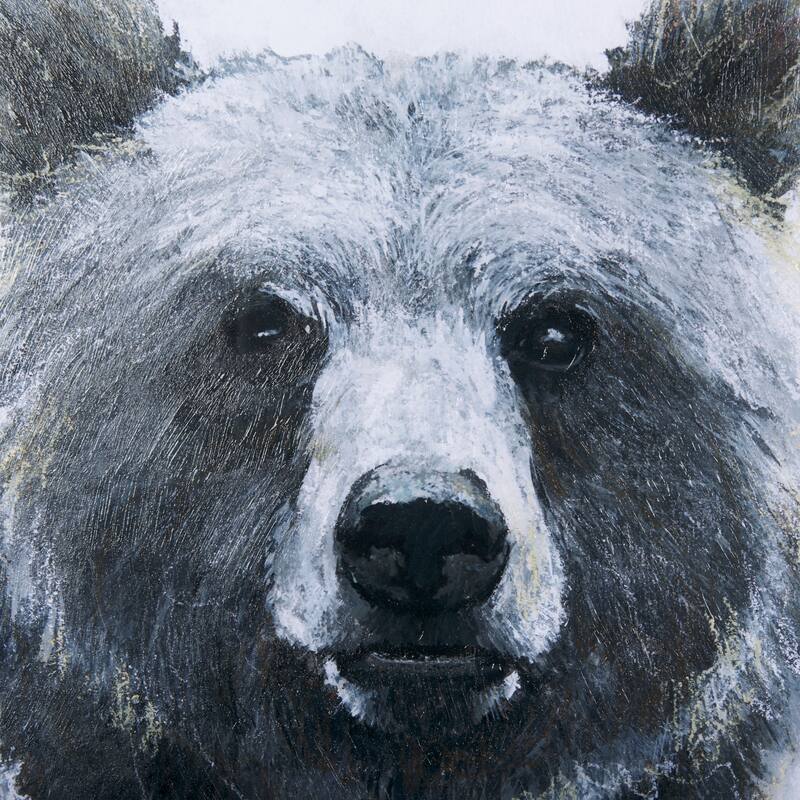 Animal Portrait III (Bear) Framed Art Print