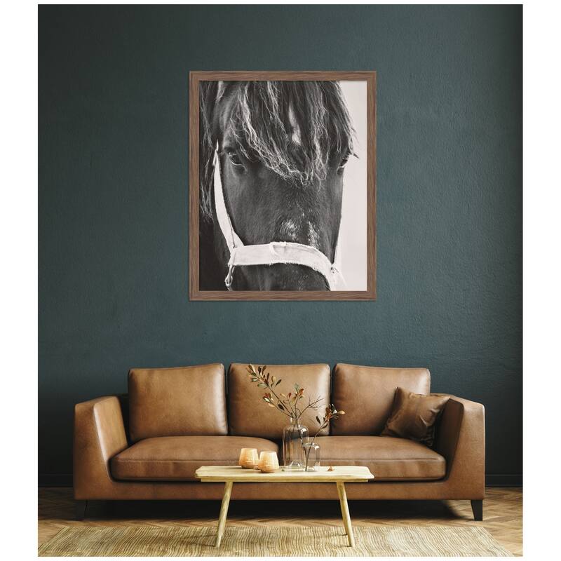 Kate and Laurel Black Horse by Emiko and Mark Franzen F2 Images Framed Wall Art Print