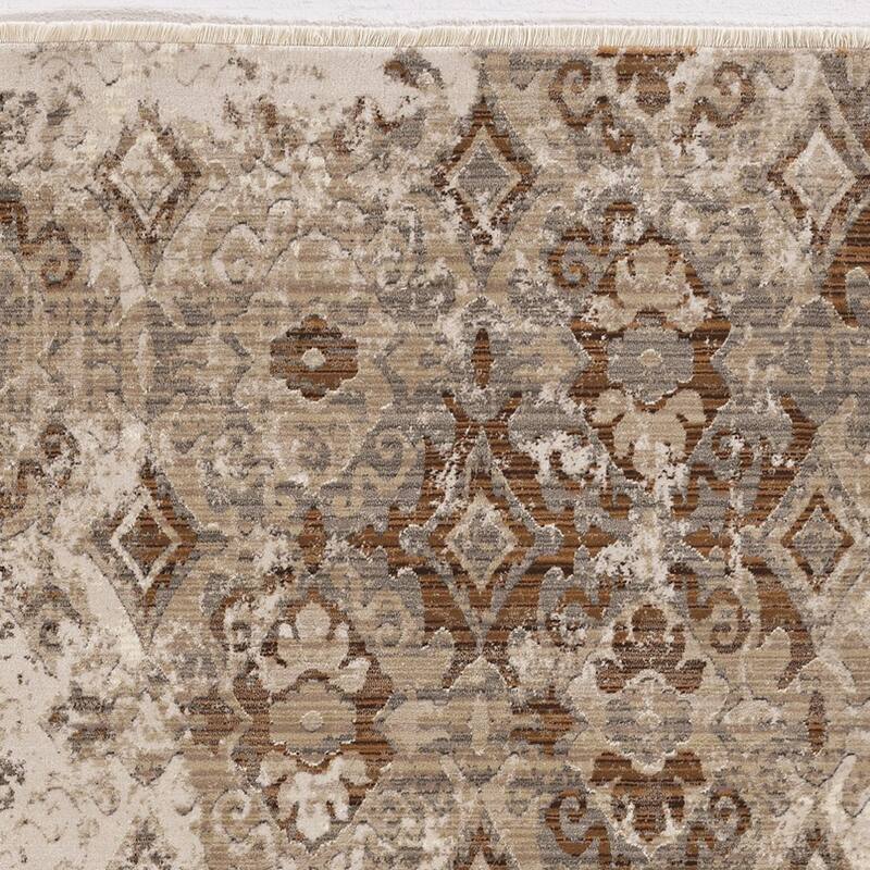 Gracewood Hollow Renza Distressed Emblum Rug
