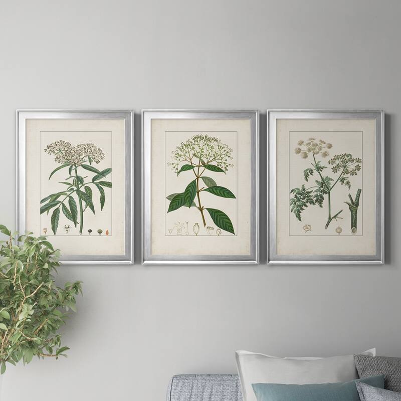 Antique Turpin Botanical VII Premium Framed Canvas - Ready to Hang - Multi-Color