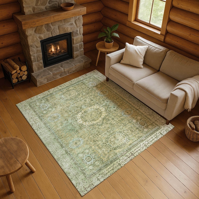 Premium Washable Super Soft Vintage Traditional Mayfield Rug - Sage - 2'6" x 3'10"
