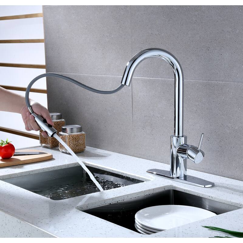 Ultra Faucets Euro Collection Single-Handle Kitchen Faucet With Pull-Down Spray