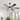 60" Modern 6-Blade Indoor Ceiling Fan with LED Light and Remote Control