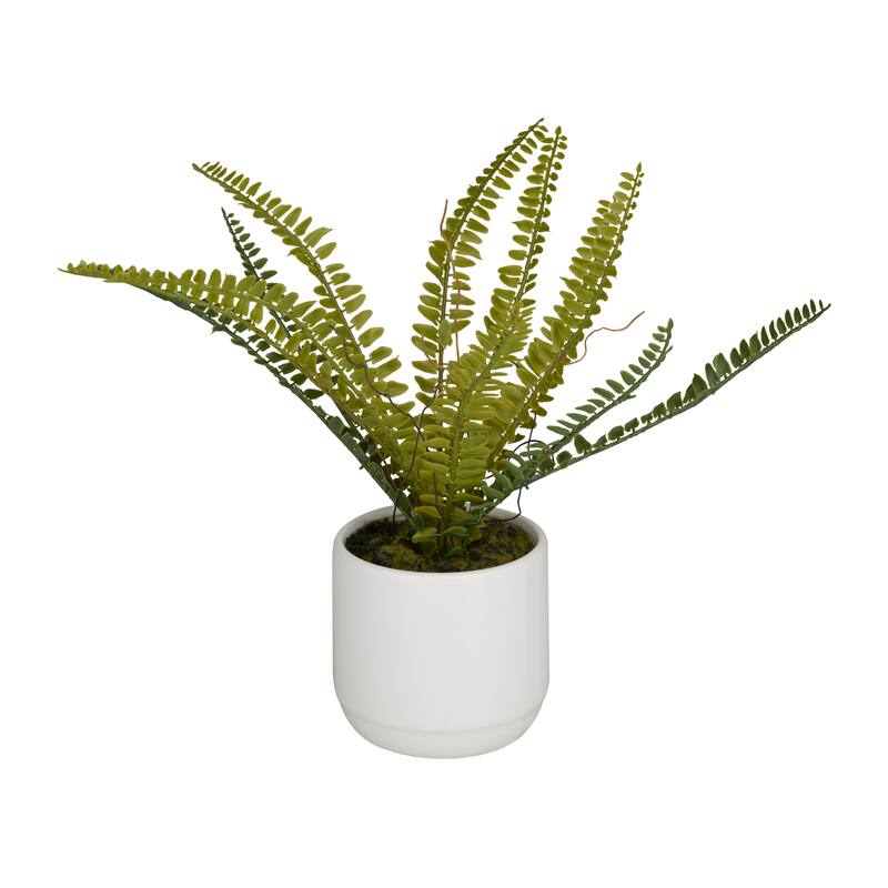 Faux Foliage Fern Artificial Plant with Realistic Leaves and White Ceramic Pot - Green - Roche River Decor - 10"W x 15"L x 12"H