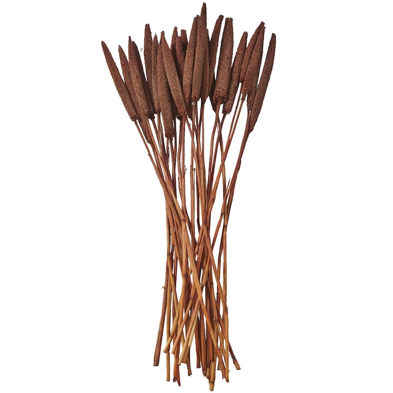 Dried Plant Bunny Tail Home Decor Natural Foliage - White, Red, Dark Brown, Orange, Green, Pink, Yellow - Roche River Decor - Dark Brown