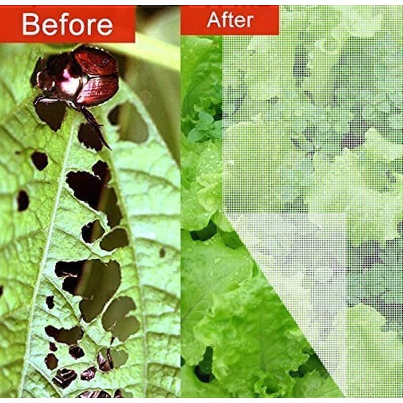 Agfabric Hail Netting 10 ft. x 50 ft. with Grommets, Bird Netting Protect Fruits and Plants from Hail Damage, White