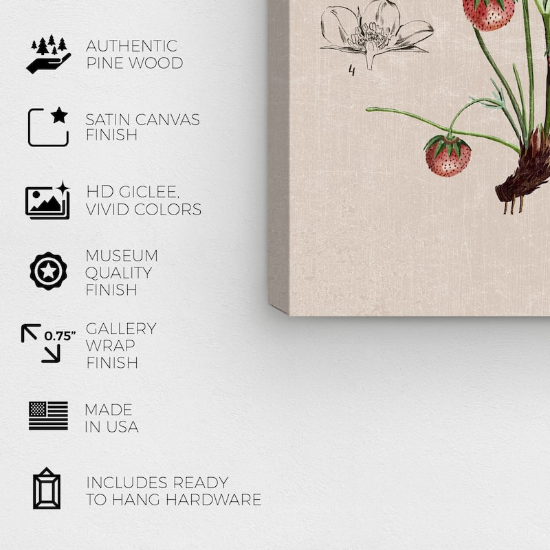 Wynwood Studio Canvas Floral and Botanical Floral Diagram II White and Traditional Wall Art Canvas Print