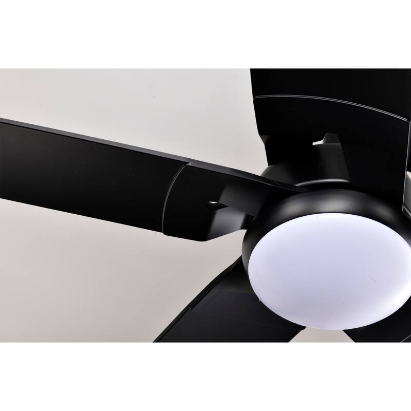 Angus 5-Blade Lighted Ceiling Fan with LED Lamp with Remote