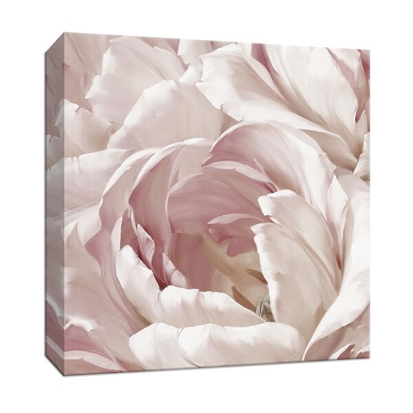 PTM Images 9-147528 PTM Canvas Collection 12" x 12" - "Intimate Blush II" Giclee Flowers Art Print on Canvas