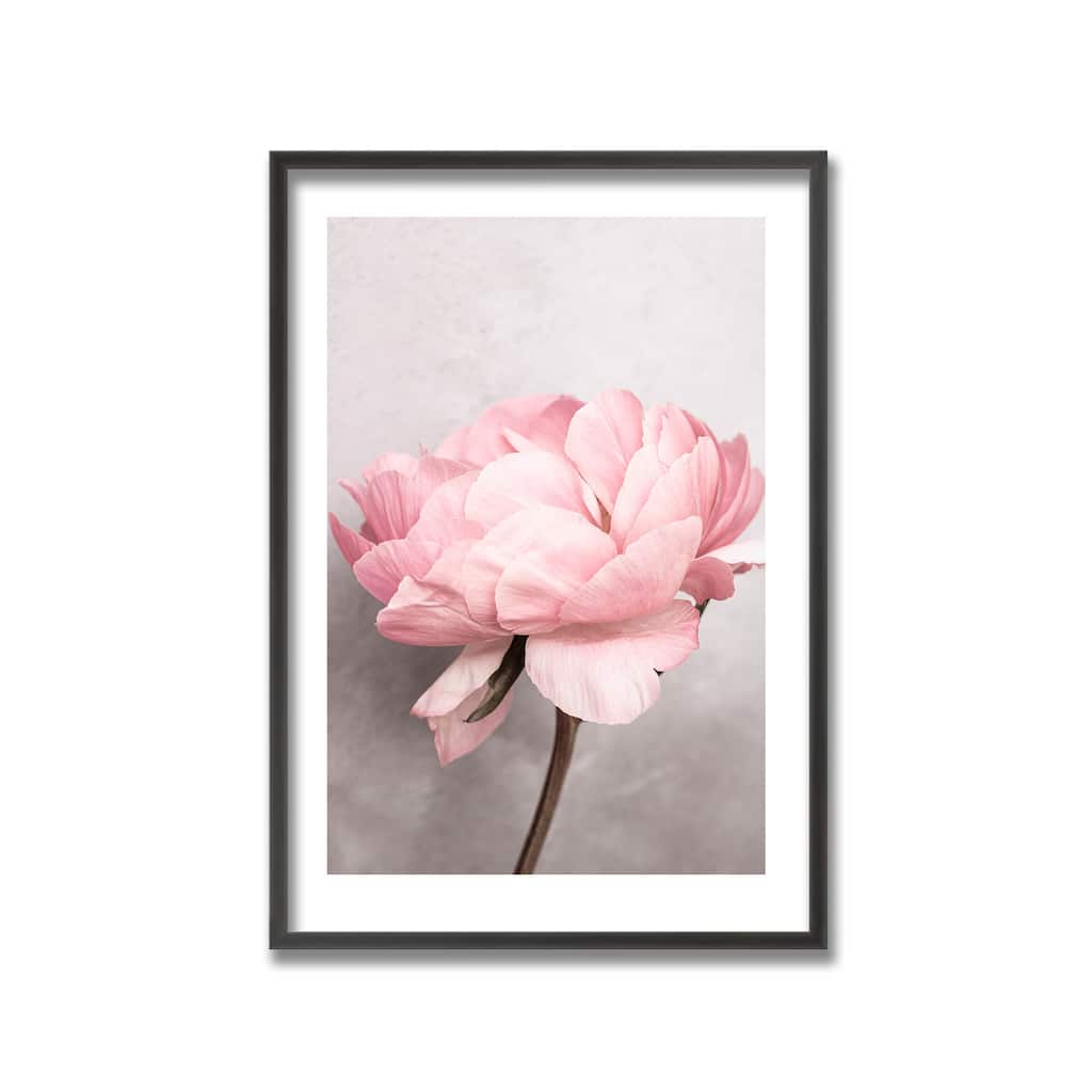 "Peony" Framed Print Wall Art by Kathrin Pienaar