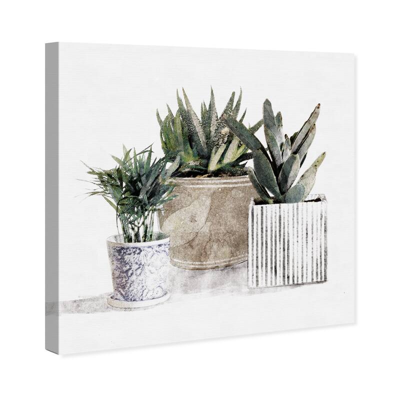 Wynwood Studio 'Succulent Gallery' Floral and Botanical Wall Art Canvas Print Botanicals - White, Green