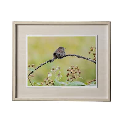 Avian I Framed Art Print