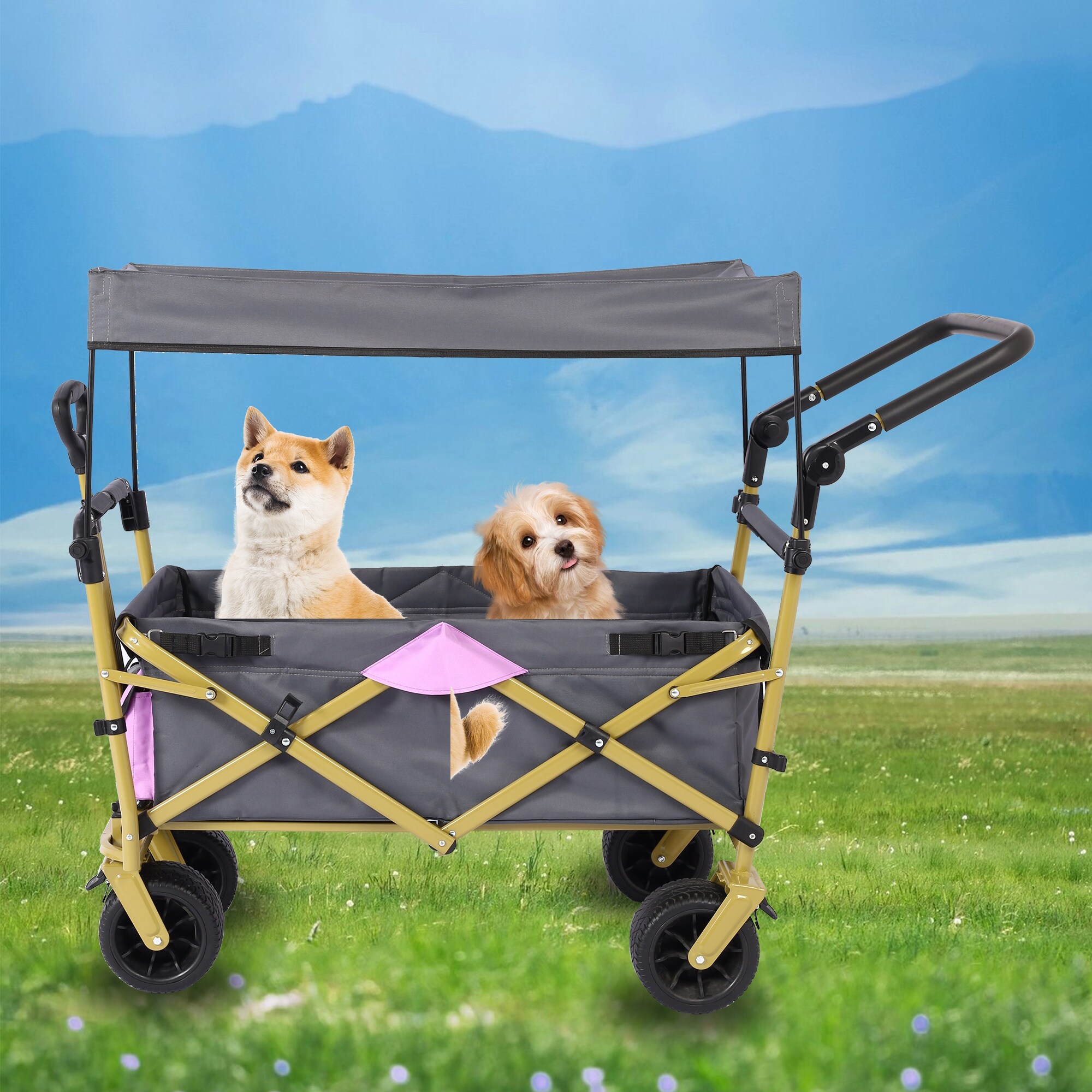Large dog wagon top
