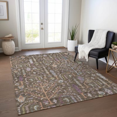 Machine Washable Indoor/ Outdoor Traditional Global Chantille Rug