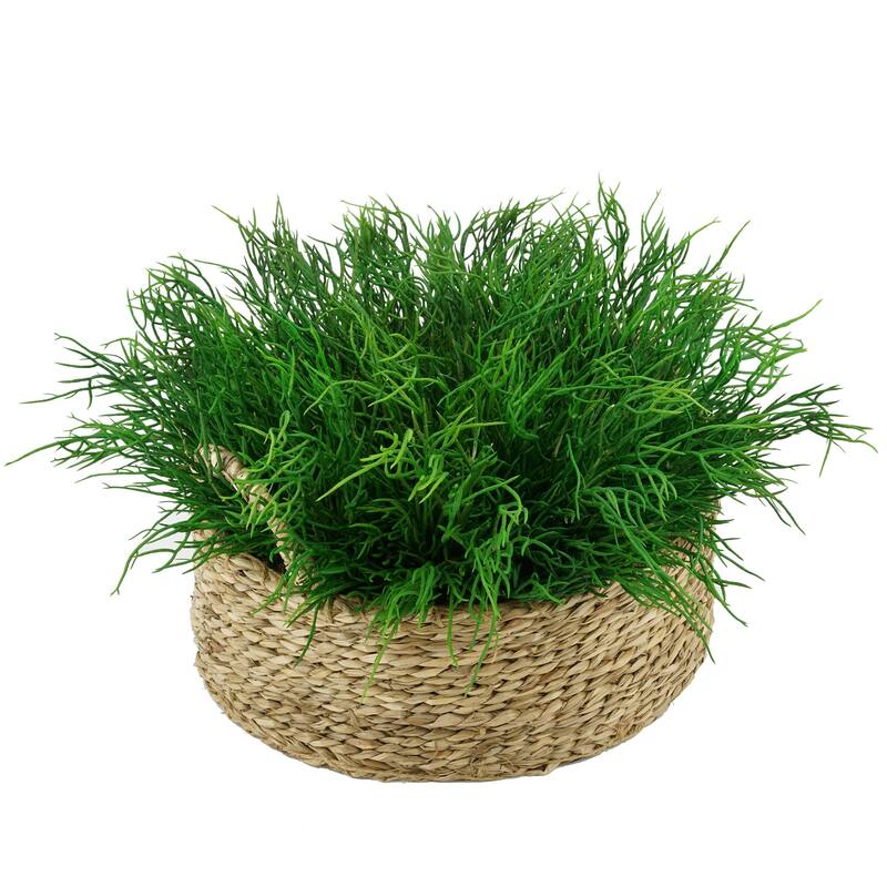 Faux Saltwort in Small Seagrass Tray Basket - Natural