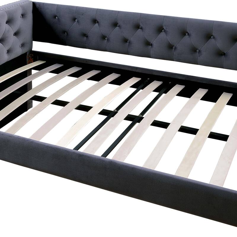 Furniture of America Ragen Twin-size Tufted Upholstered Daybed with Trundle and Nailhead Trim