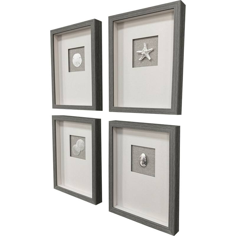 Paragon Natural Elements Framed Art - Set of 4