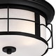 preview thumbnail 4 of 9, Westinghouse Orwell Two-Light Outdoor Flush-Mount Fixture, Seeded Glass
