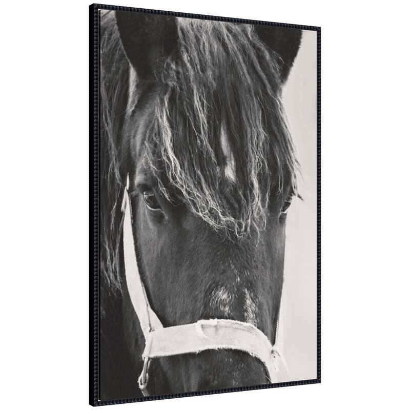 Kate and Laurel Black Horse by Emiko and Mark Franzen F2 Images Framed Canvas Wall Art Print - 28x41
