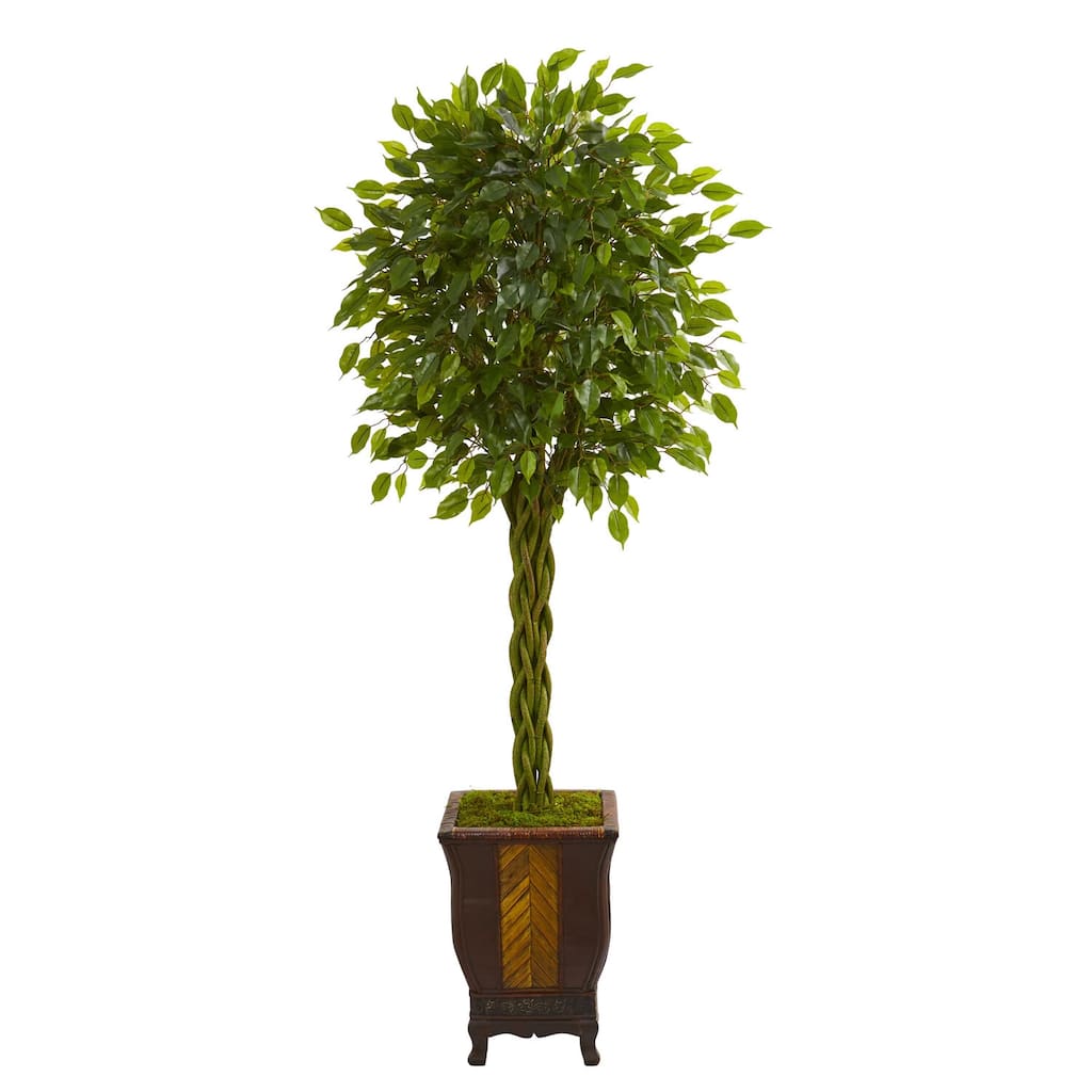6ft Braided Ficus Artificial Tree in Decorative Planter with Elegant Braided Trunk and Green Leaves for Home Decor