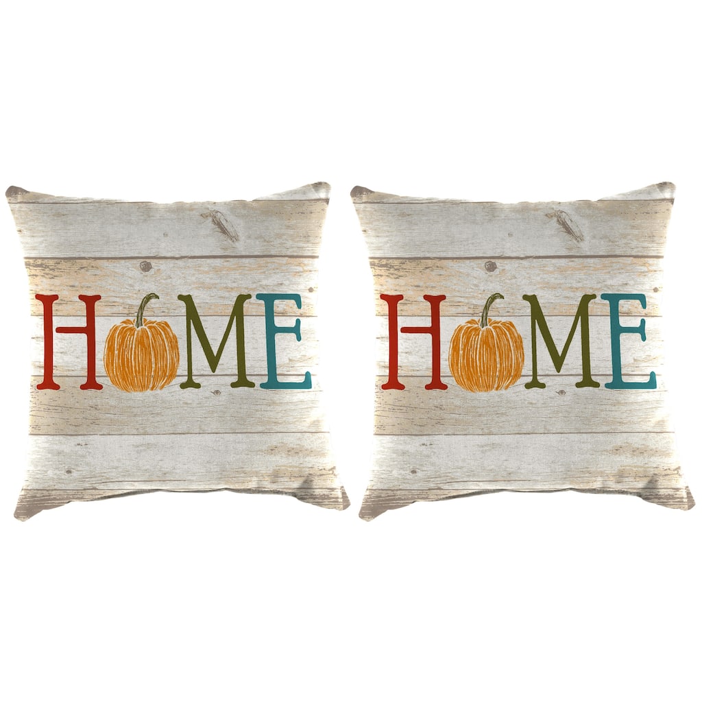 16" x 16" Outdoor Throw Pillow - Set of 2 - 16'' L x 16'' W x 4'' H