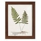 preview thumbnail 75 of 138, Nature Printed Ferns IX -Framed Print w/glass-Cherry Red 9x11 - Maple