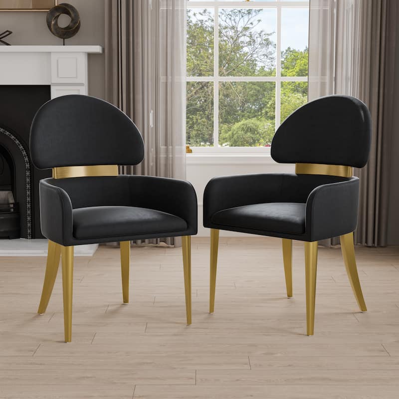 Furniture of America Luvien Modern Padded Fabric Dining Chairs (Set of 2) - Black