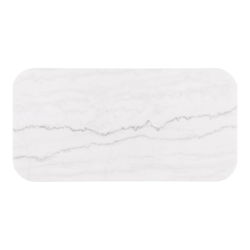 Furniture of America Torin Modern Genuine Marble Top Rectangle Coffee Table