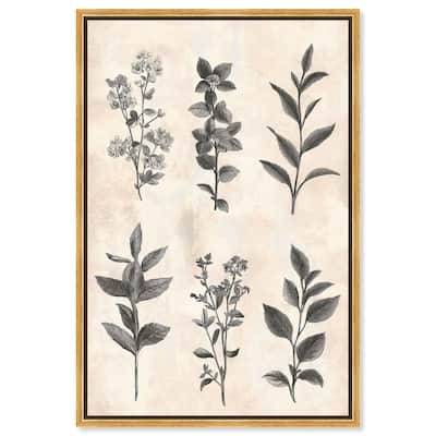 Sepia Stems Canvas by Art Remedy