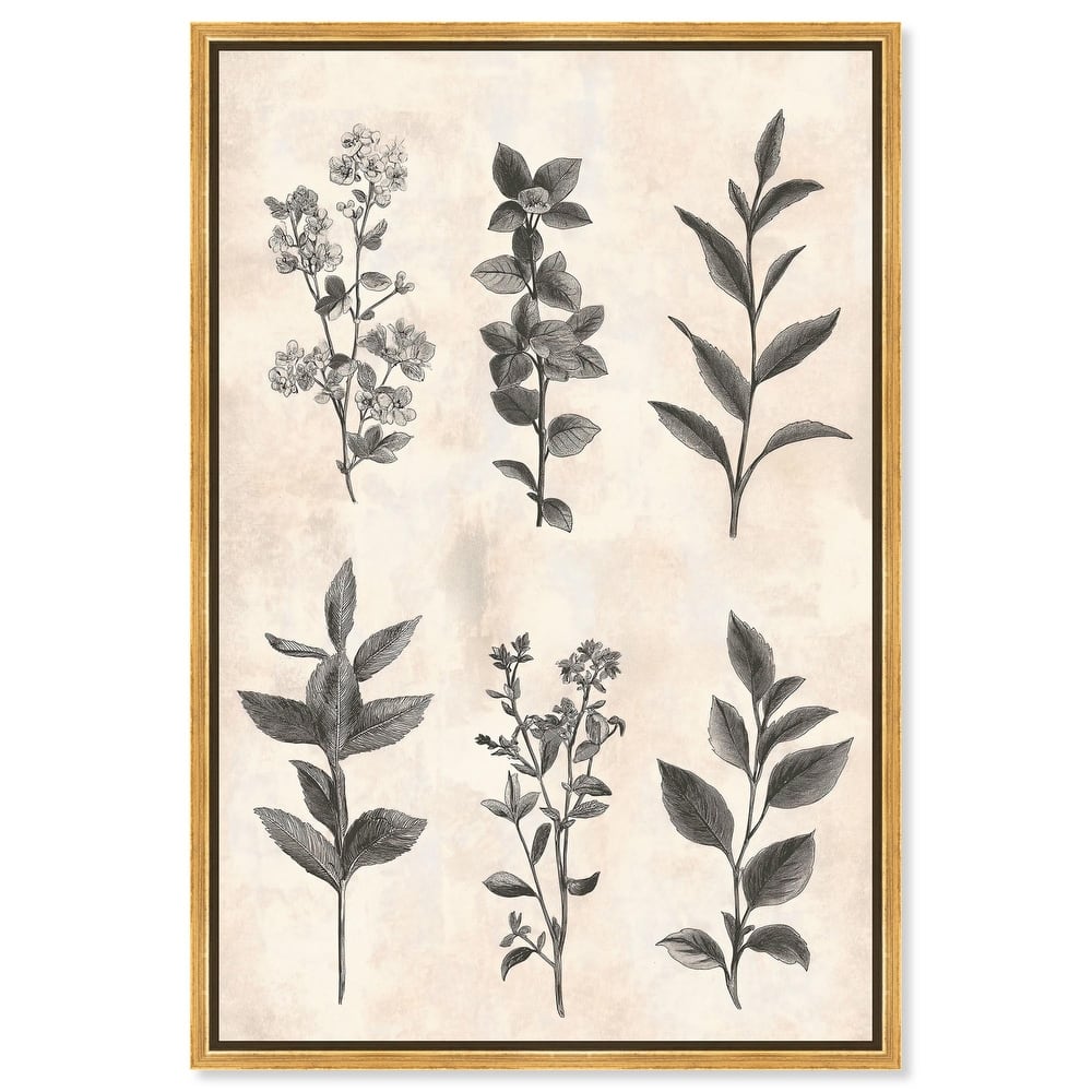 Sepia Stems Canvas by Art Remedy