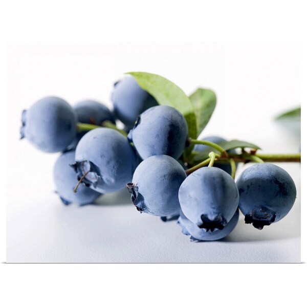 "Bunch of blueberries" Poster Print