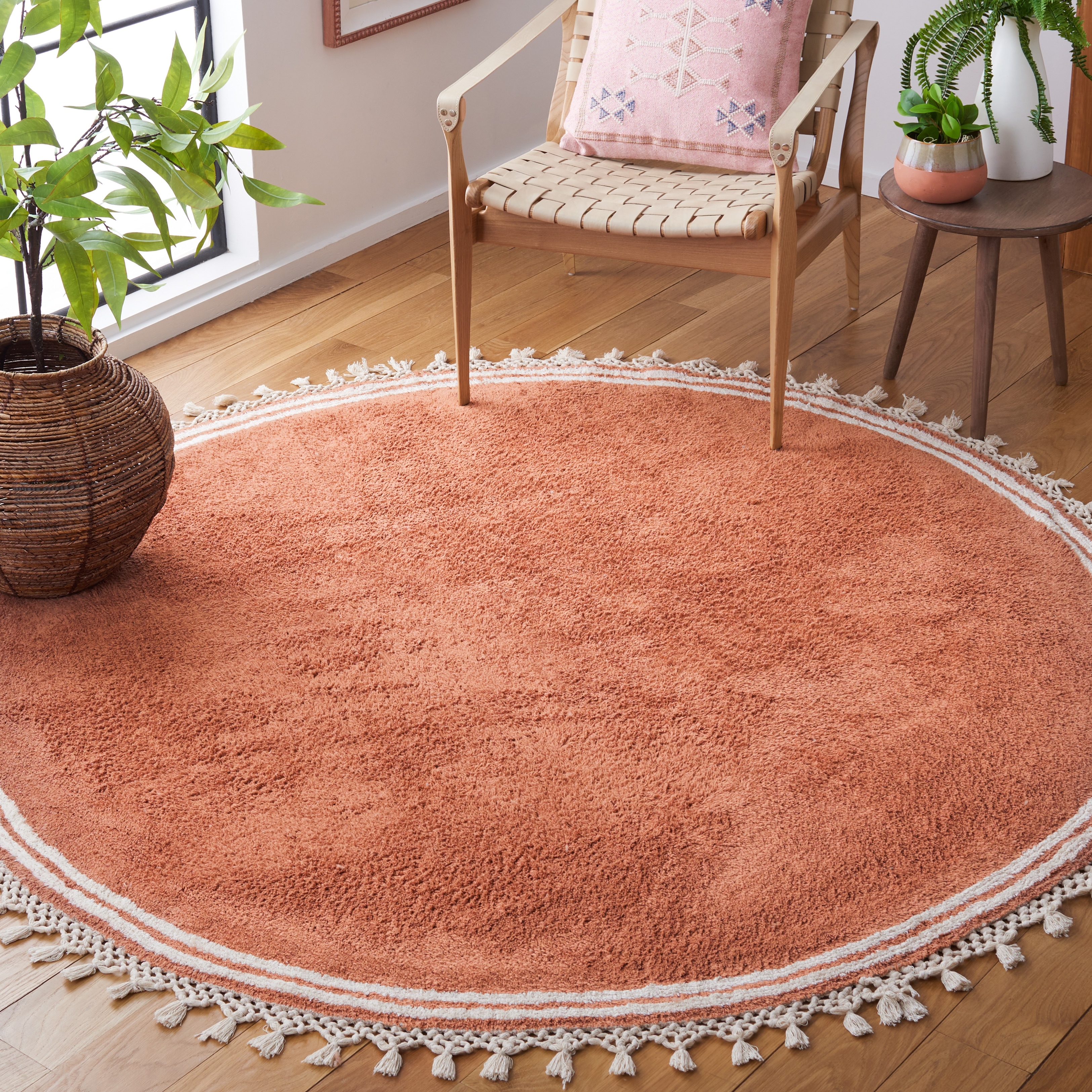 SAFAVIEH Easy Care Machine Washable Aisma Takae Rug