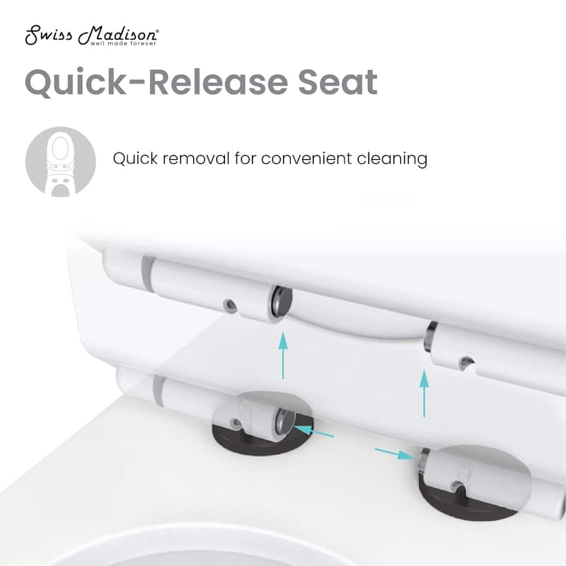 Dieppe One Piece Toilet Dual Vortex Flush, Black Hardware 1.1/1.6 Gpf - 27.45" x 13.85" 27.85"