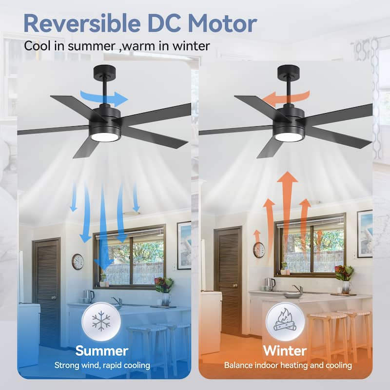 52-IN LED Ceiling Fan with Light Kit and Remote- 5 Blades