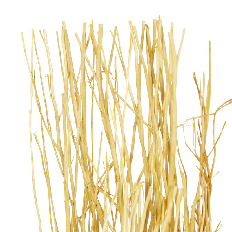 Multi colored, White Brown or Light Brown Dried Plant Pigeon pea Natural Foliage (Set of 2)