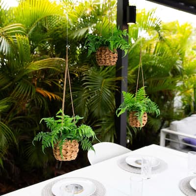 Boston Fern Artificial Hanging Plants with Wicker Basket - 11" - Green - Set of 3