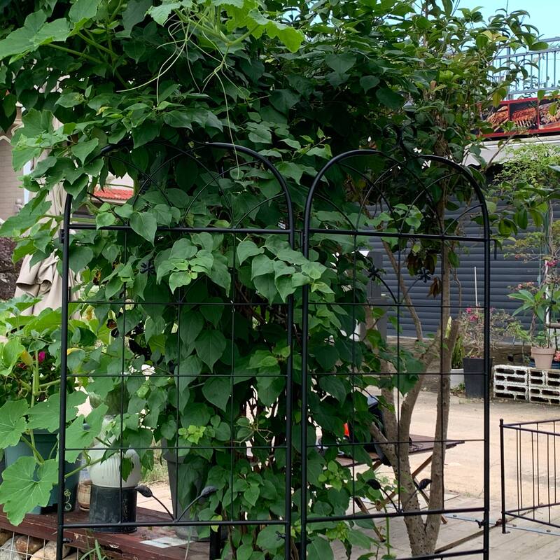 Metal Garden Trellis, 2 Pack Metal Trellis for Climbing Plants, Indoor/Outdoor Plant Trellis for Potted Plants House Plants