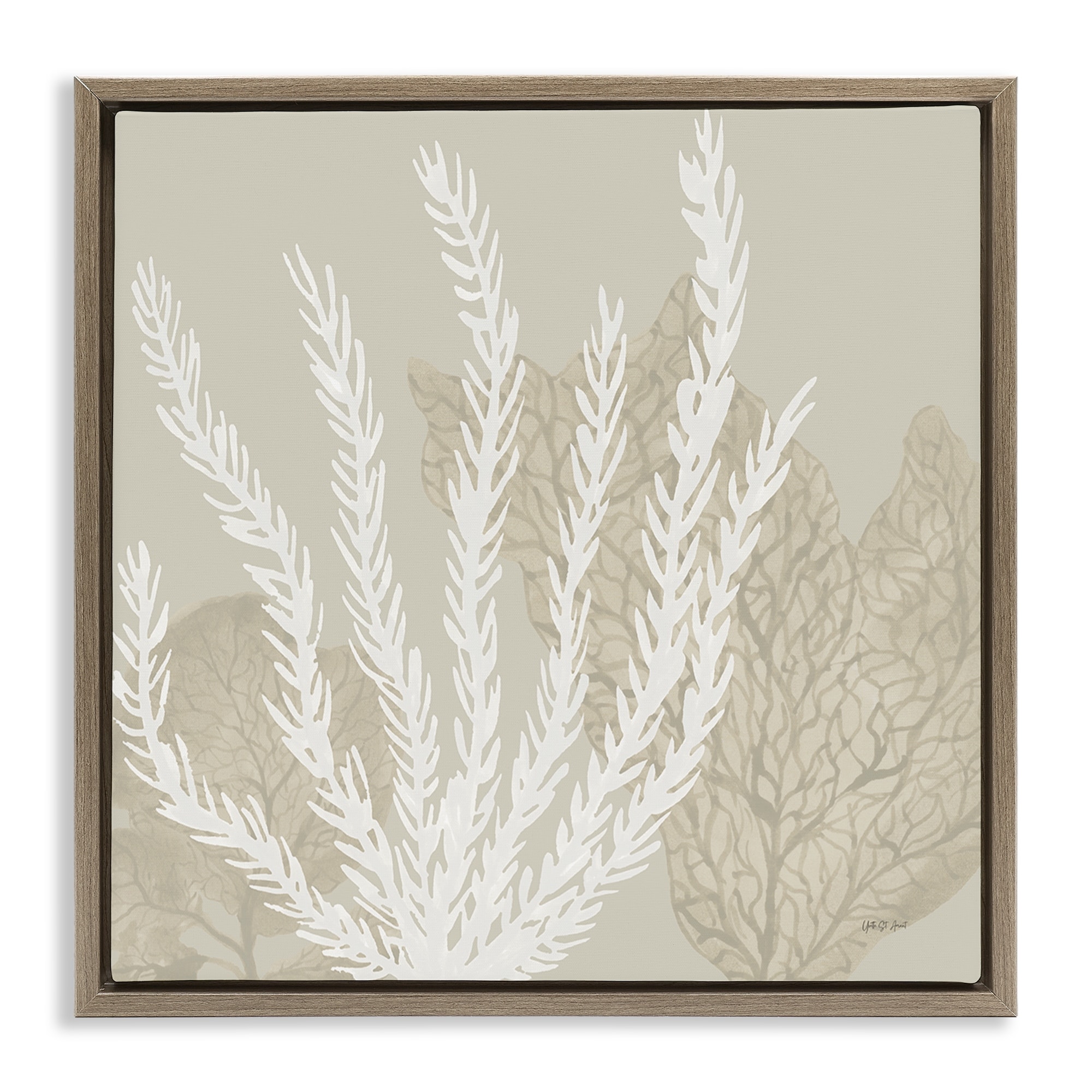 Stupell Neutral Coral on Beige Framed Floater Canvas Wall Art Design By Yvette St. Amant