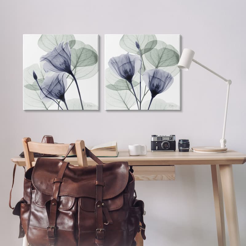 Stupell Fading Florals & Herbs Canvas Wall Art Design By Albert Koetsier (Set of 2)