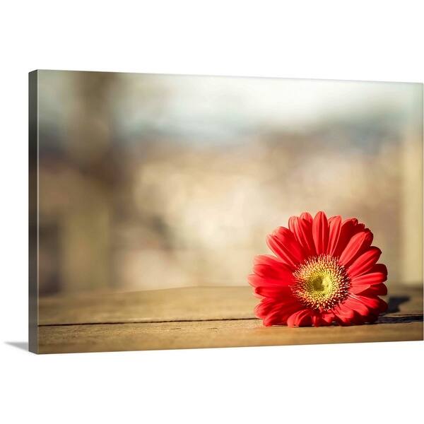 Red Gerbera Daisy On Wooden Crate Canvas Wall Art Overstock 16441590
