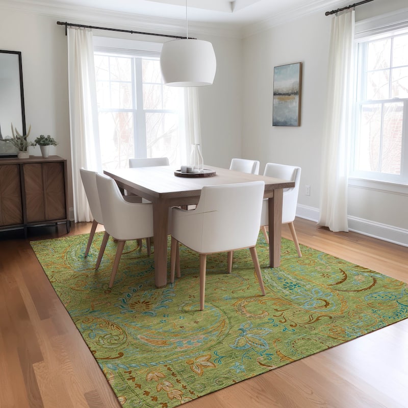 Machine Washable Indoor/ Outdoor Paisley Chantille Rug - Aloe - 5' x 7'6"