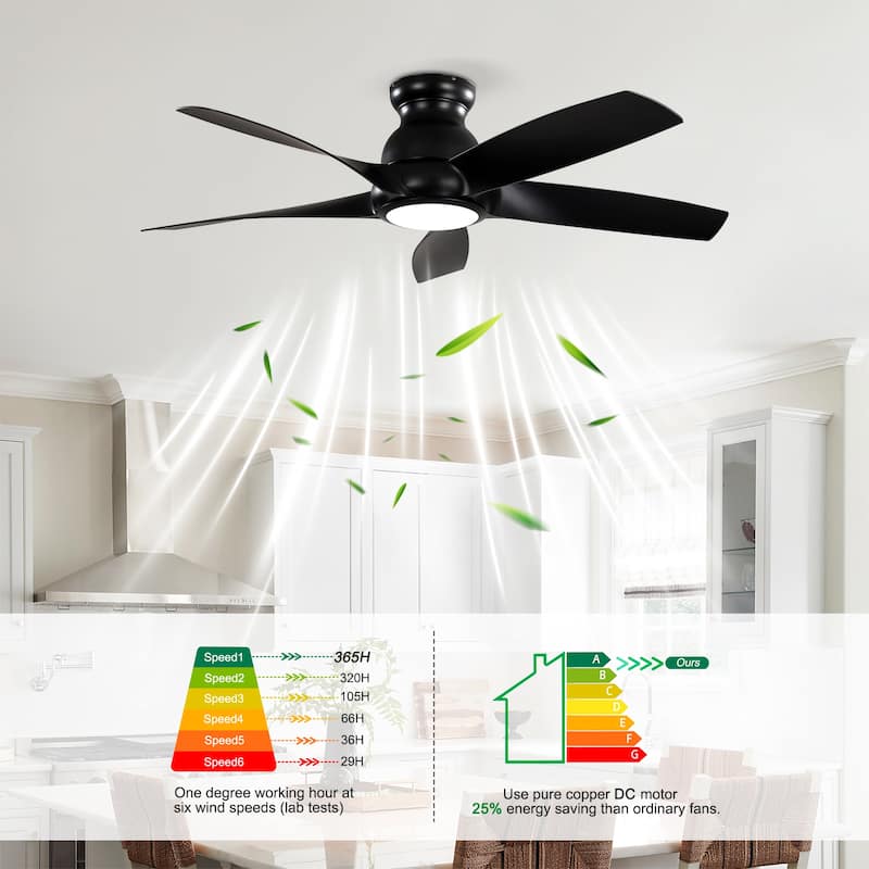 Ceiling Fan with Light Kit