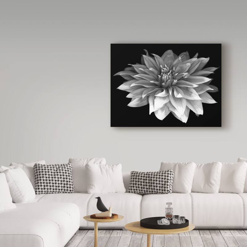 Susan S. Barmon 'Perfect Dahlia 1 Black And White' Canvas Art