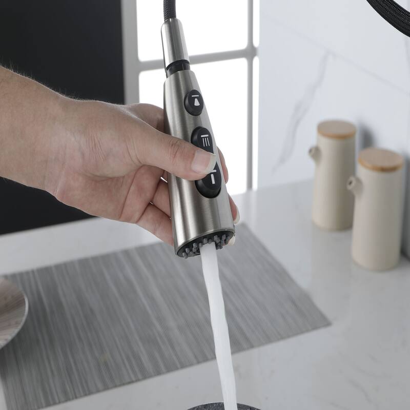 Topcraft Single Handle Pull-Out Kitchen Faucet with Base Plate
