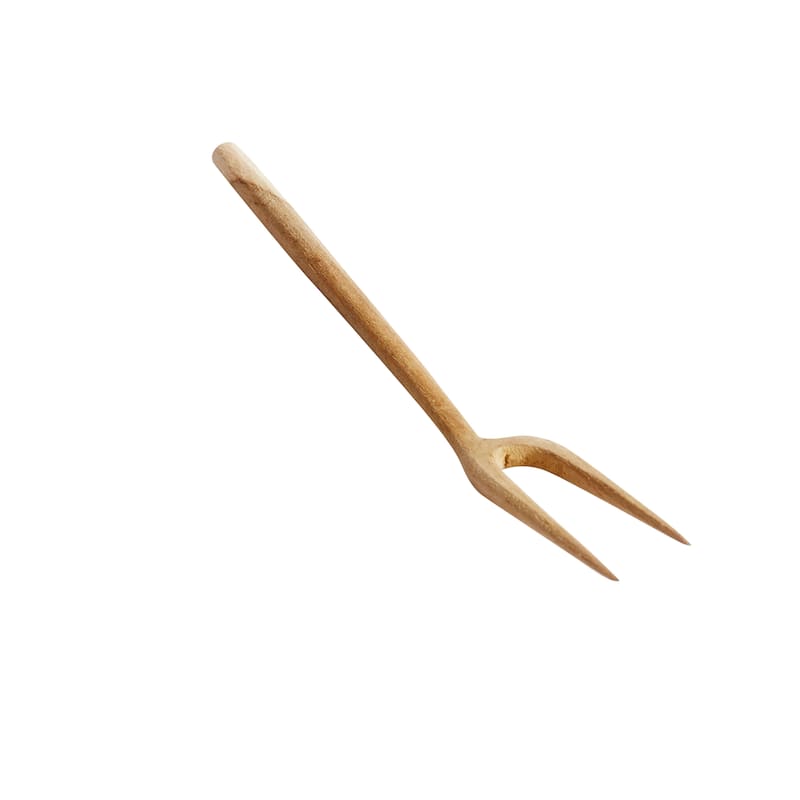 Fork Olive - Nature