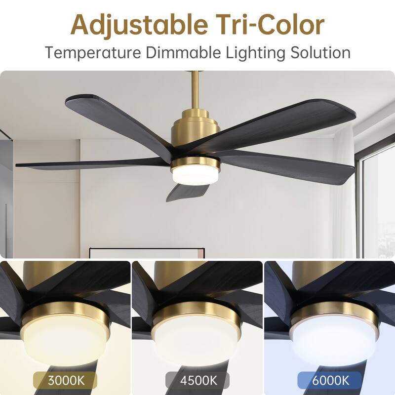 Modern Ceiling Fan With Light Smart Life APP Remote Control Timer For Alexa Google Bedroom Farmhouse