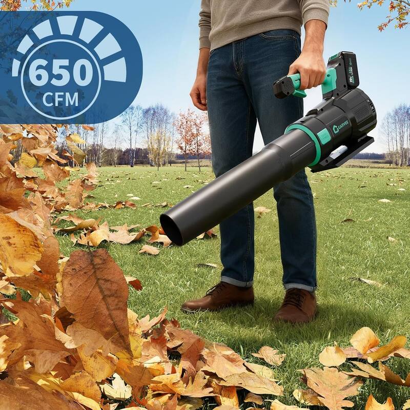 Cordless- Electric Leaf Blower, 2 Speed Mode