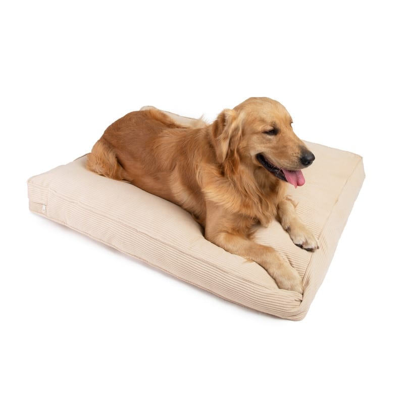 Sherry Kline Double Sided Corduroy Velvet Bed, Small, Medium, & Large Dogs
